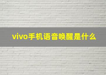 vivo手机语音唤醒是什么