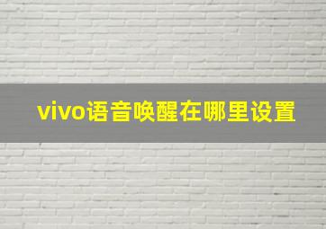 vivo语音唤醒在哪里设置