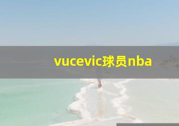 vucevic球员nba