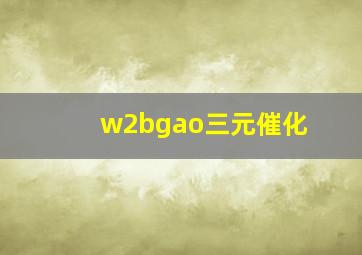 w2bgao三元催化