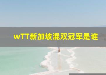 wTT新加坡混双冠军是谁