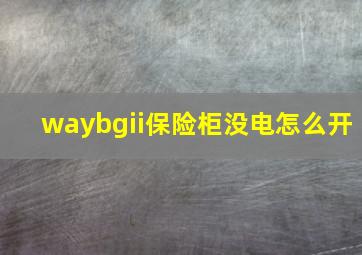 waybgii保险柜没电怎么开