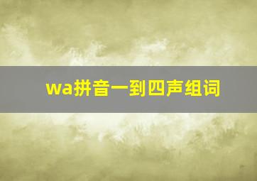 wa拼音一到四声组词