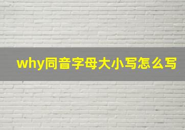 why同音字母大小写怎么写