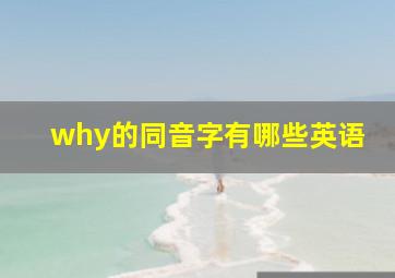 why的同音字有哪些英语