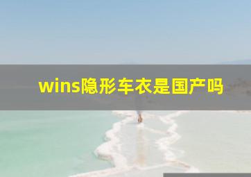 wins隐形车衣是国产吗