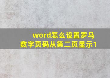 word怎么设置罗马数字页码从第二页显示1