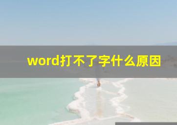 word打不了字什么原因