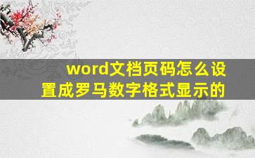 word文档页码怎么设置成罗马数字格式显示的