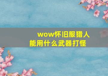 wow怀旧服猎人能用什么武器打怪