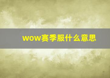 wow赛季服什么意思