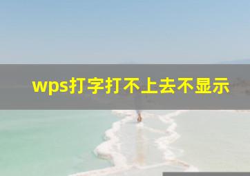 wps打字打不上去不显示