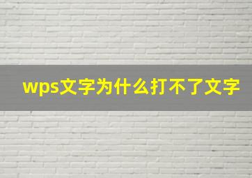 wps文字为什么打不了文字