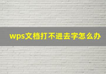 wps文档打不进去字怎么办