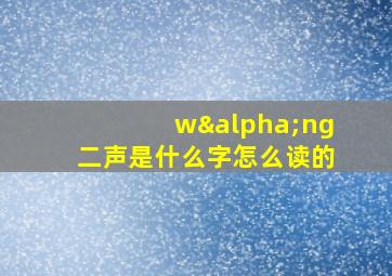 wαng二声是什么字怎么读的