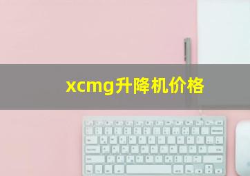 xcmg升降机价格