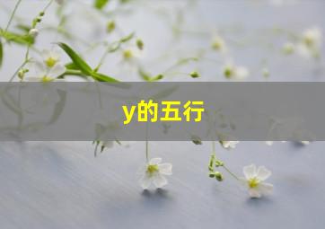 y的五行