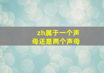 zh属于一个声母还是两个声母