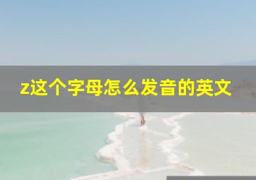 z这个字母怎么发音的英文