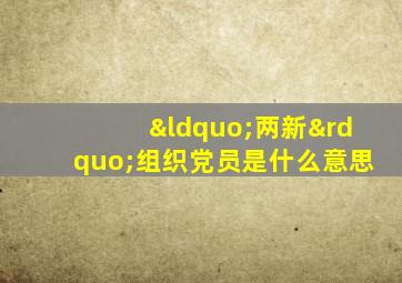 “两新”组织党员是什么意思