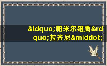 “帕米尔雄鹰”拉齐尼·巴依卡