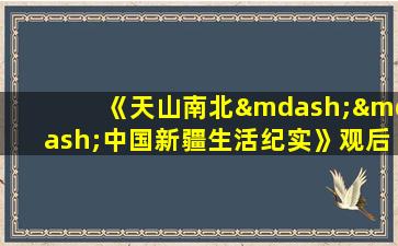 《天山南北——中国新疆生活纪实》观后感