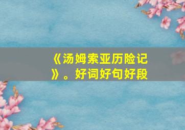 《汤姆索亚历险记》。好词好句好段