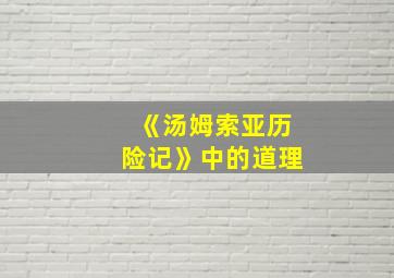 《汤姆索亚历险记》中的道理