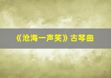 《沧海一声笑》古琴曲