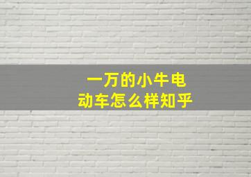 一万的小牛电动车怎么样知乎