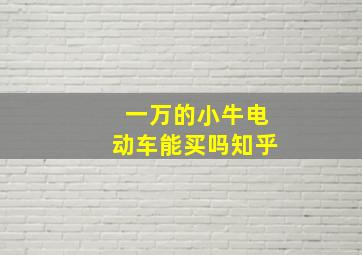 一万的小牛电动车能买吗知乎