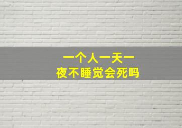 一个人一天一夜不睡觉会死吗