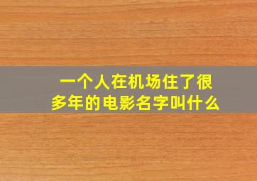 一个人在机场住了很多年的电影名字叫什么