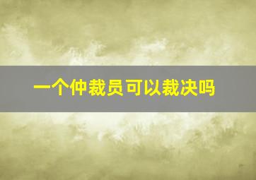 一个仲裁员可以裁决吗