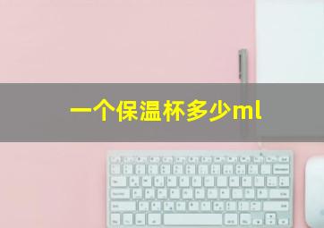 一个保温杯多少ml