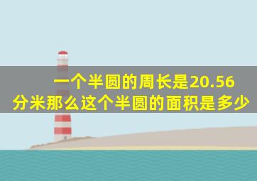 一个半圆的周长是20.56分米那么这个半圆的面积是多少