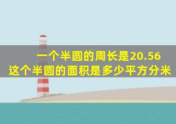 一个半圆的周长是20.56这个半圆的面积是多少平方分米