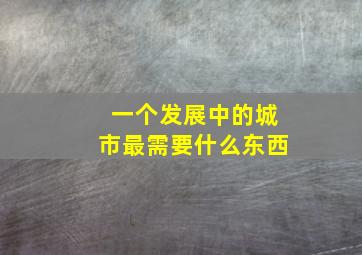 一个发展中的城市最需要什么东西