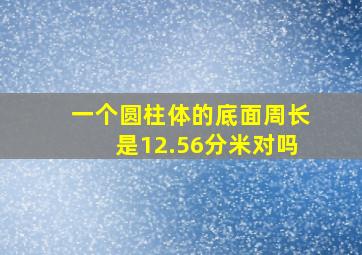 一个圆柱体的底面周长是12.56分米对吗