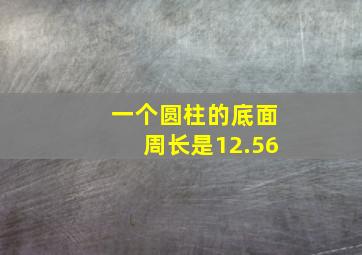 一个圆柱的底面周长是12.56