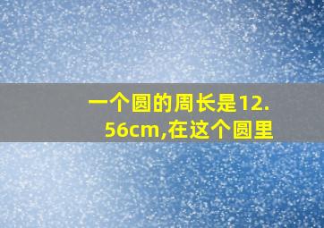 一个圆的周长是12.56cm,在这个圆里