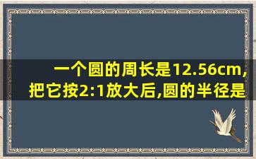 一个圆的周长是12.56cm,把它按2:1放大后,圆的半径是