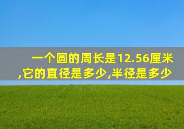 一个圆的周长是12.56厘米,它的直径是多少,半径是多少