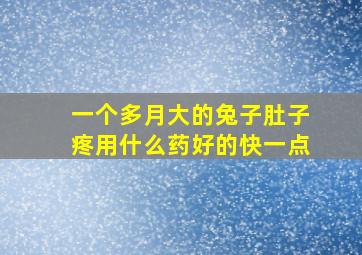 一个多月大的兔子肚子疼用什么药好的快一点