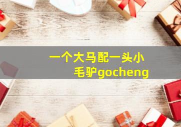 一个大马配一头小毛驴gocheng