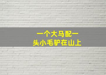 一个大马配一头小毛驴在山上