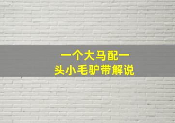 一个大马配一头小毛驴带解说