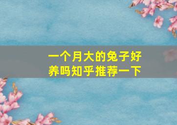 一个月大的兔子好养吗知乎推荐一下