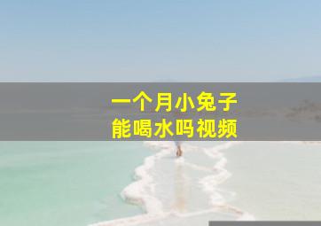 一个月小兔子能喝水吗视频