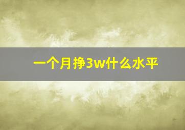 一个月挣3w什么水平